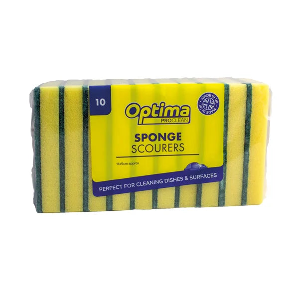 Professional Sponge Scourer Pack Of 10